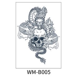 WM-B005